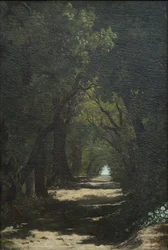 Die Wälder von Caldas